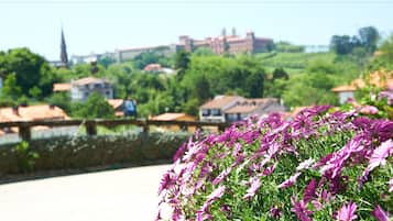 A garden with purple flowers in the foreground and a view of buildings in the background.