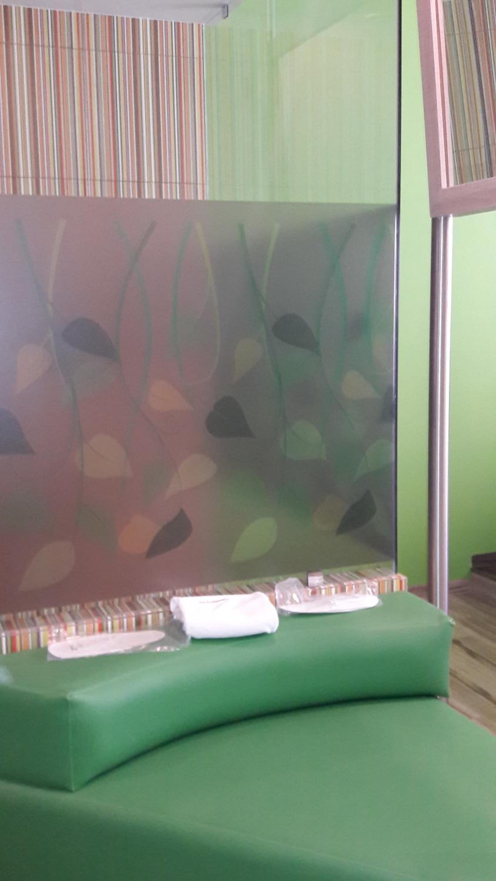 Una habitación con un sofá verde, un separador de vidrio con motivos de hojas y una ventana con persianas.