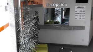 Un área de recepción con mostrador, una planta en maceta y una zona de estar con un banco verde y un banco de madera.