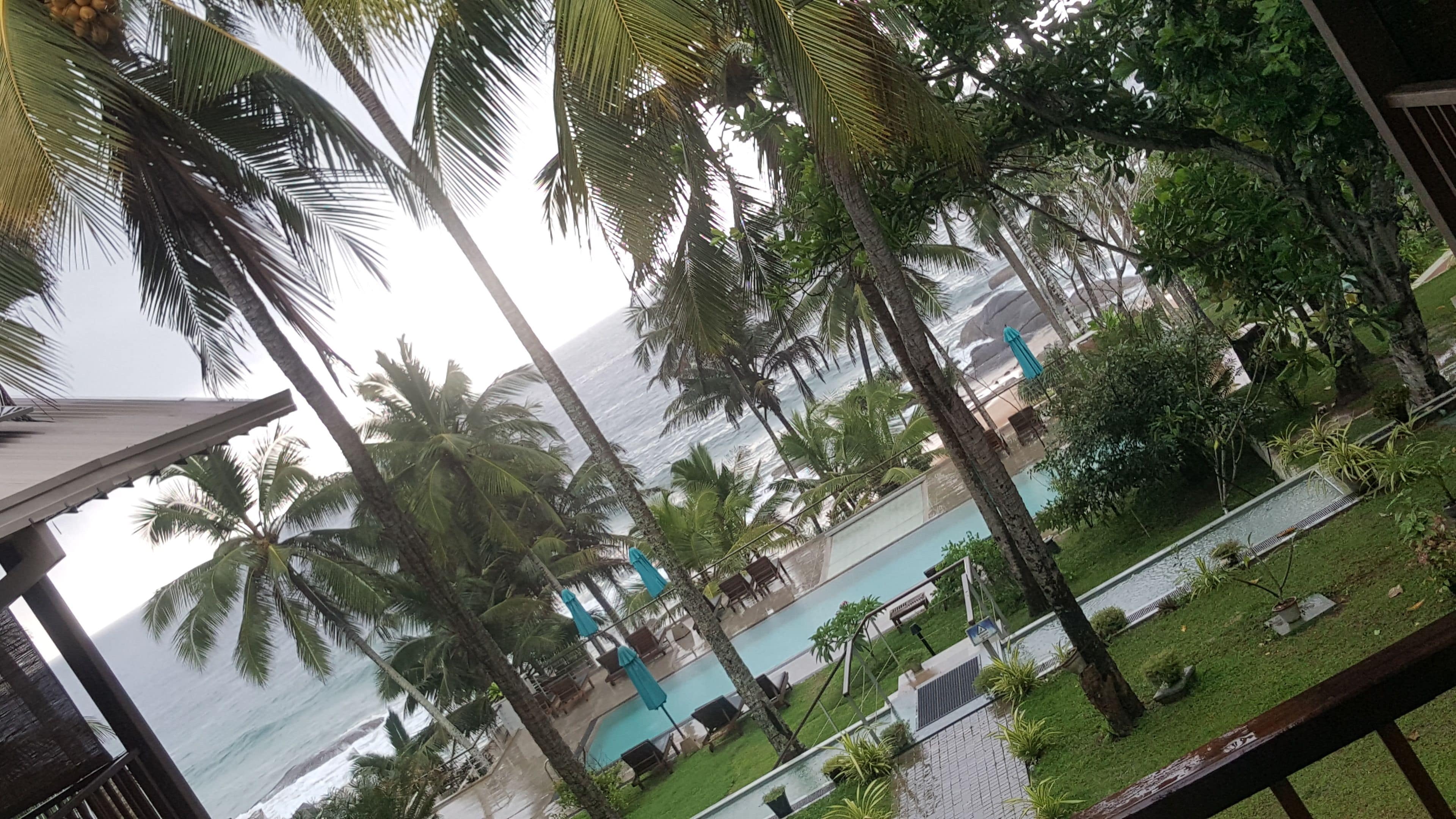 A view of a pool area with palm trees and a beach in the background.
