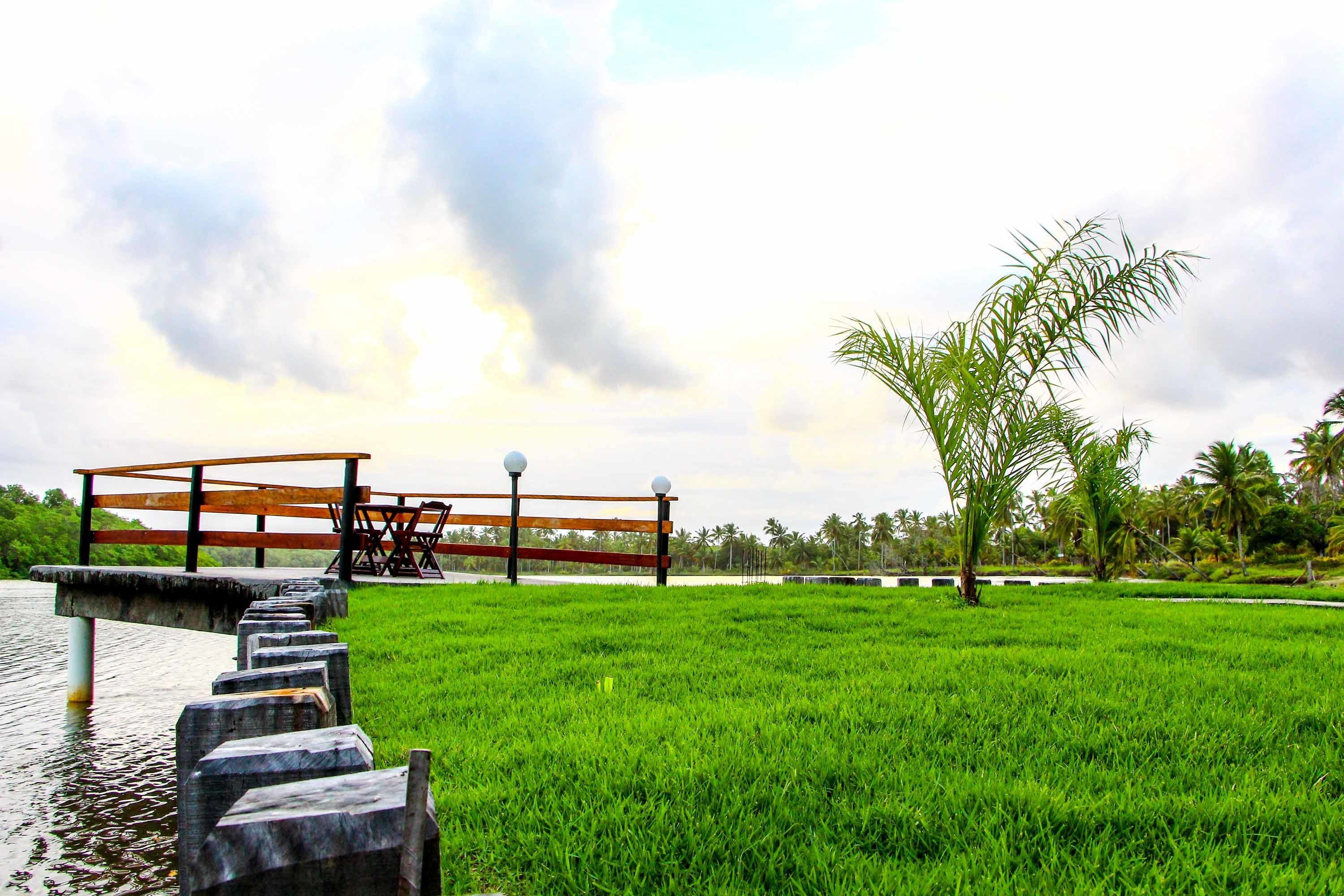 A grassy area with a wooden structure and a palm tree.