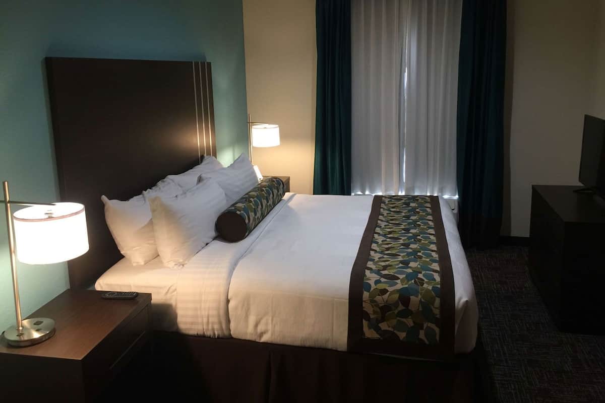 Une chambre dâhĂŽtel comprenant un lit, deux lampes de chevet, une tĂ©lĂ©vision, une fenĂȘtre avec des rideaux et un sol recouvert de moquette.