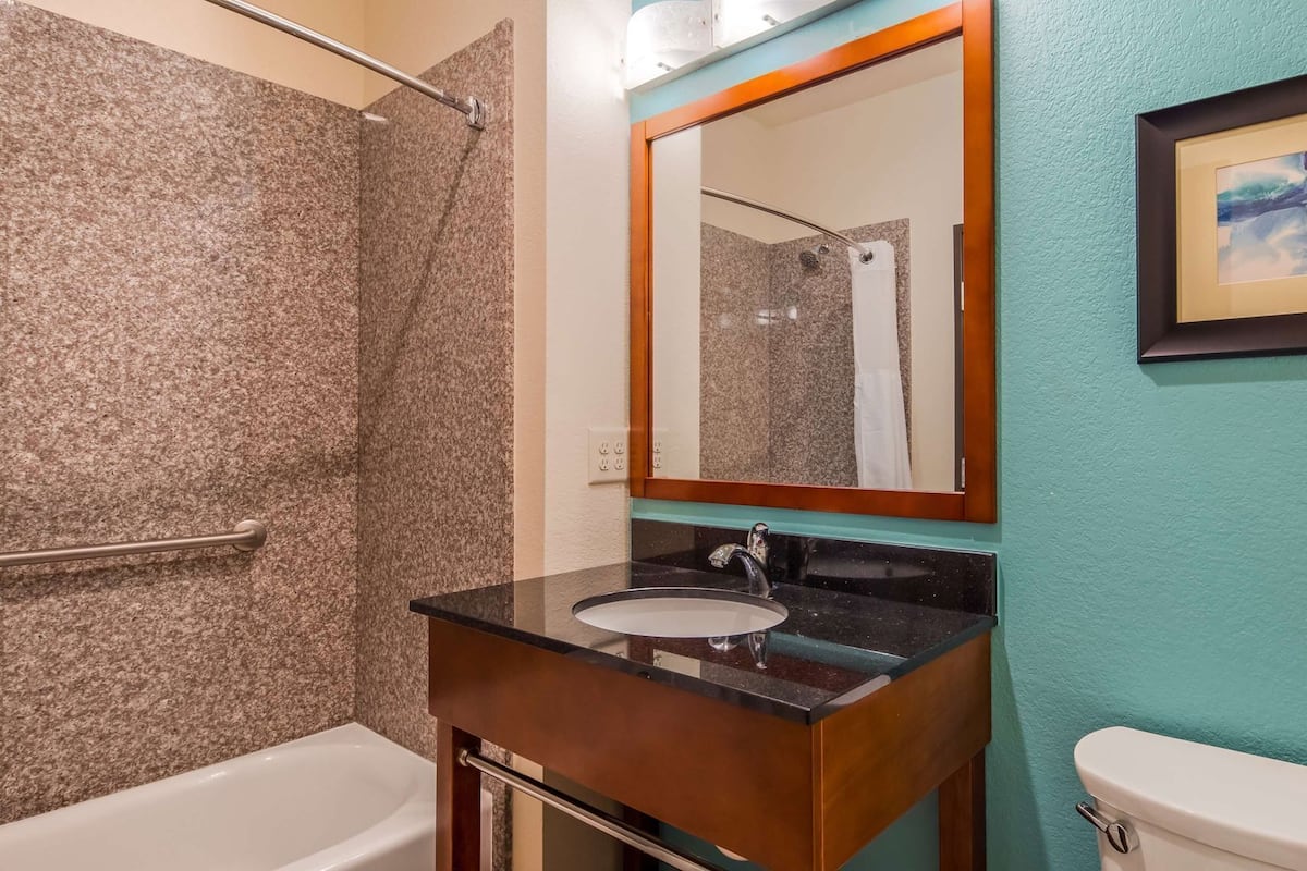 Une salle de bain avec un mur de douche en granit, un lavabo avec un meuble-vasque en bois, un miroir, un tableau encadré et des toilettes.