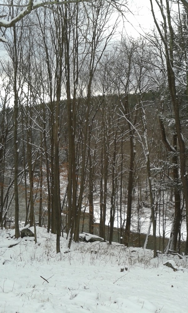 Black Bear Lodge by null