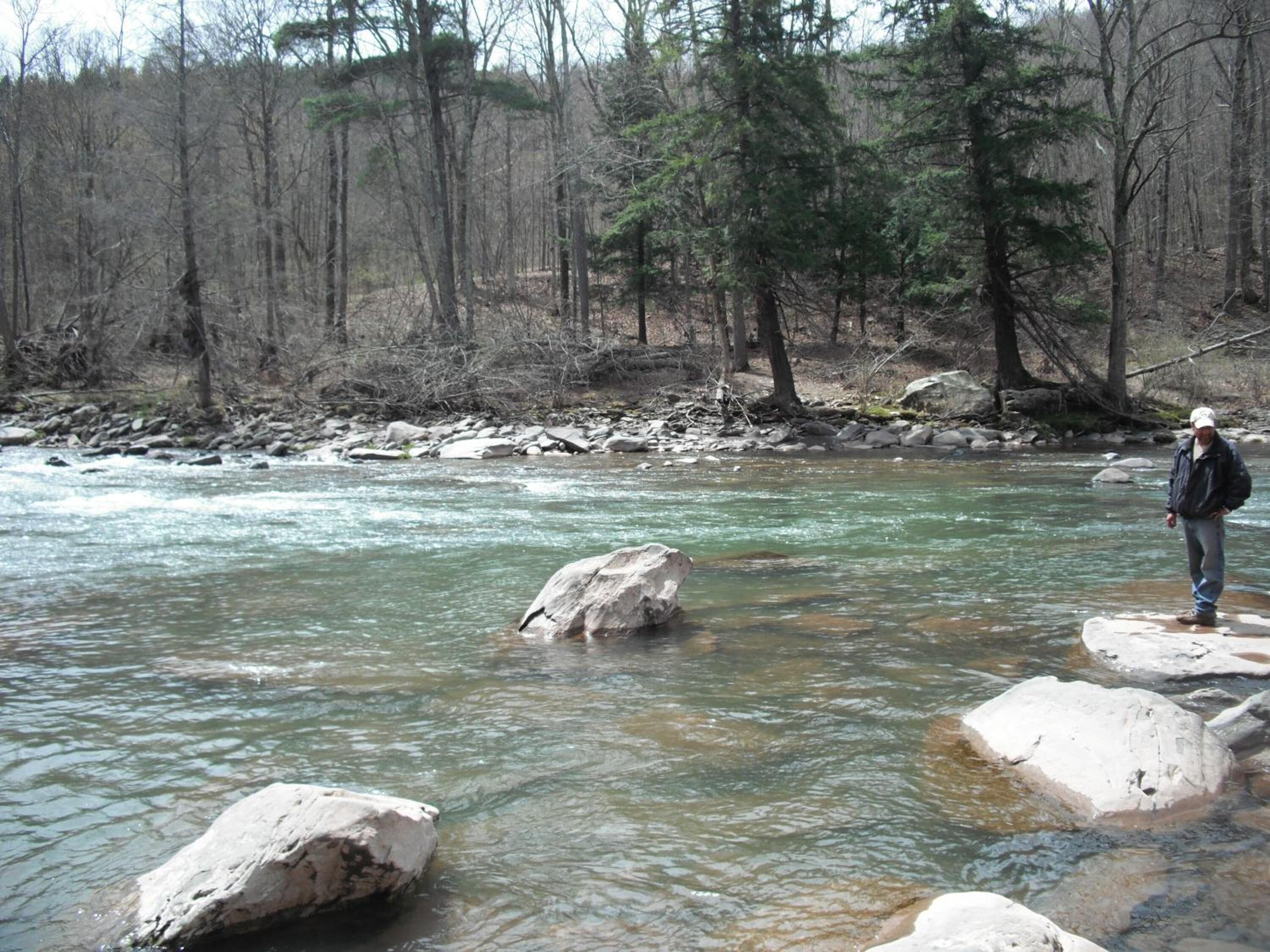 Paisatge fluvial natural amb aigua cristal·lina, envoltat d'arbres i roques.