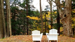 Two white Adirondack chairs in a forest with fallen leaves. - Black Bear Lodge (Prattsville)