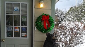 A front door with a WiFi sign, a Christmas wreath, and a bear statue. - Black Bear Lodge (Prattsville)
