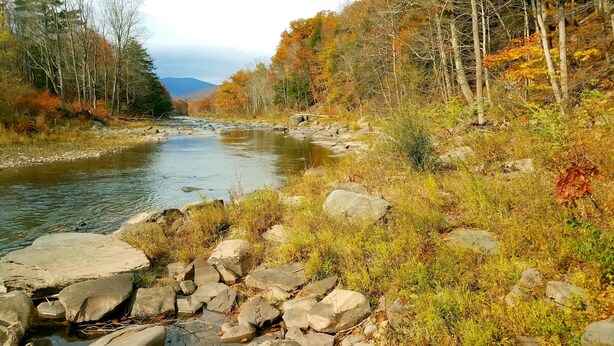 A river flowing through a forested area with rocks and autumn-colored trees. - Black Bear Lodge (Prattsville)