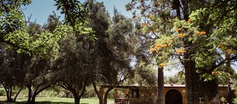 Rancho Toros Pintos