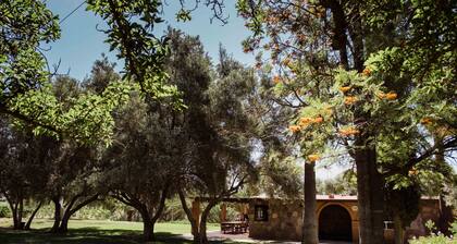 Rancho Toros Pintos