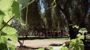 Garden - Rancho Toros Pintos (Valle de Guadalupe)