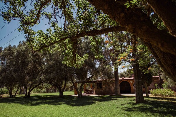 حديقة