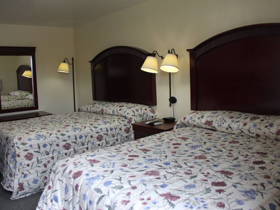 Standaard kamer, 2 tweepersoonsbedden | Een bureau, gratis wifi, beddengoed