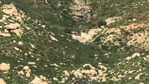 Unclassified image, 4 of 28, button - Cabaña Toros Pintos (Valle de Guadalupe)