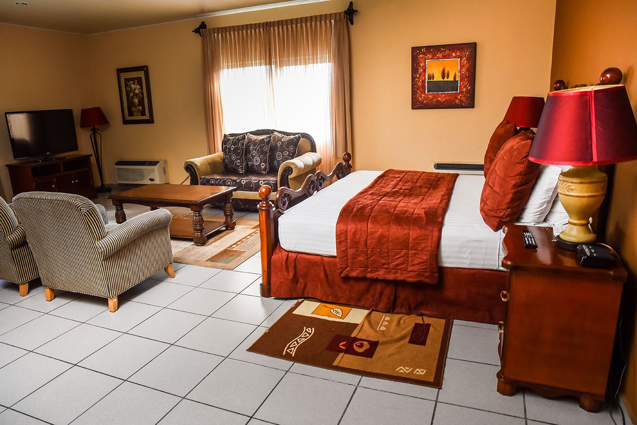A hotel room with a bed, a sofa, a TV, a lamp, and a rug.