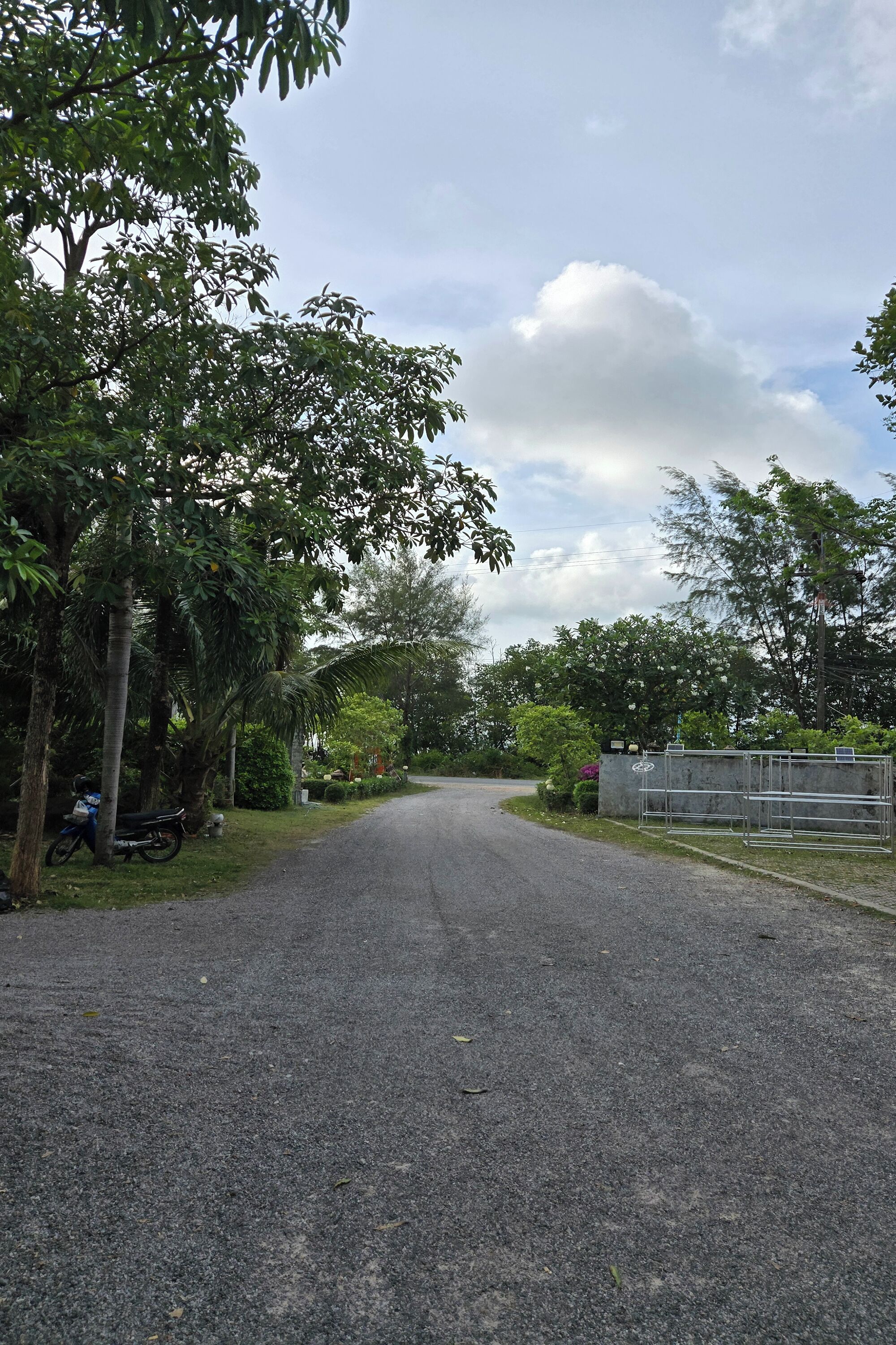 A paved road flanked by trees and a fence.
