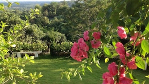 花園
