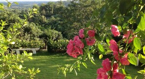 Garden - Ruen Roylanna Resort (Chiang Rai)