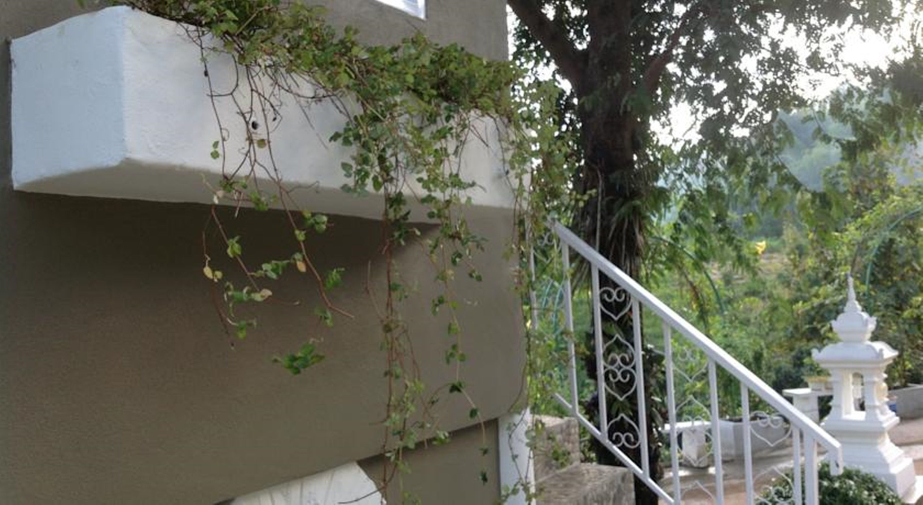 บริเวณภายนอก