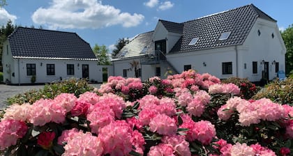 Hedegaarden