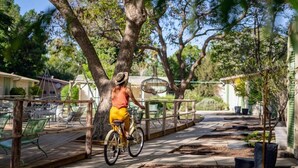 Una persona in sella a una bicicletta su un pontile di legno, circondata da vegetazione e mobili da esterno.