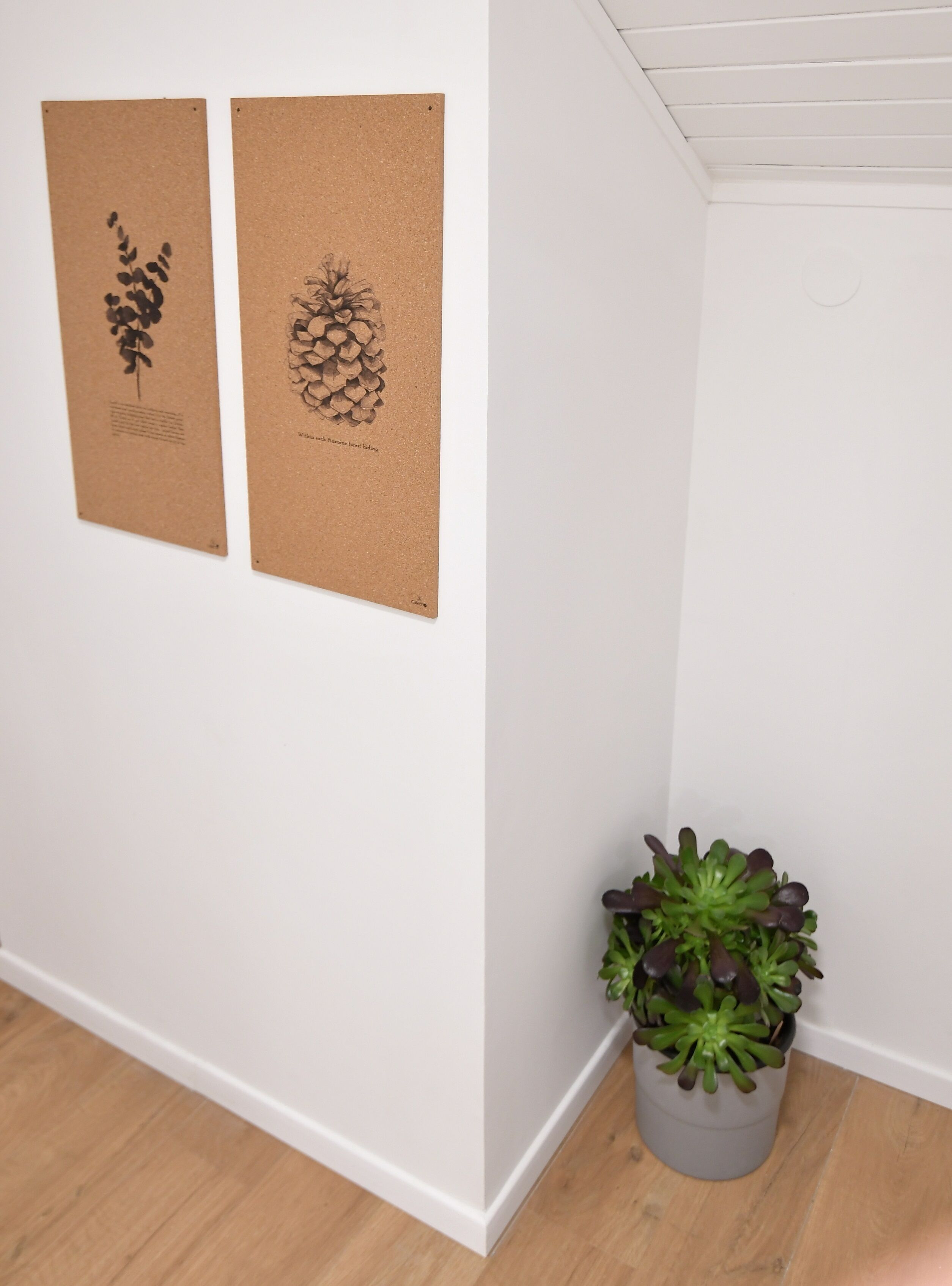 A corner of a room with two corkboard artworks and a potted plant.