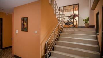 A staircase with metal railings, a bicycle, and a potted plant.