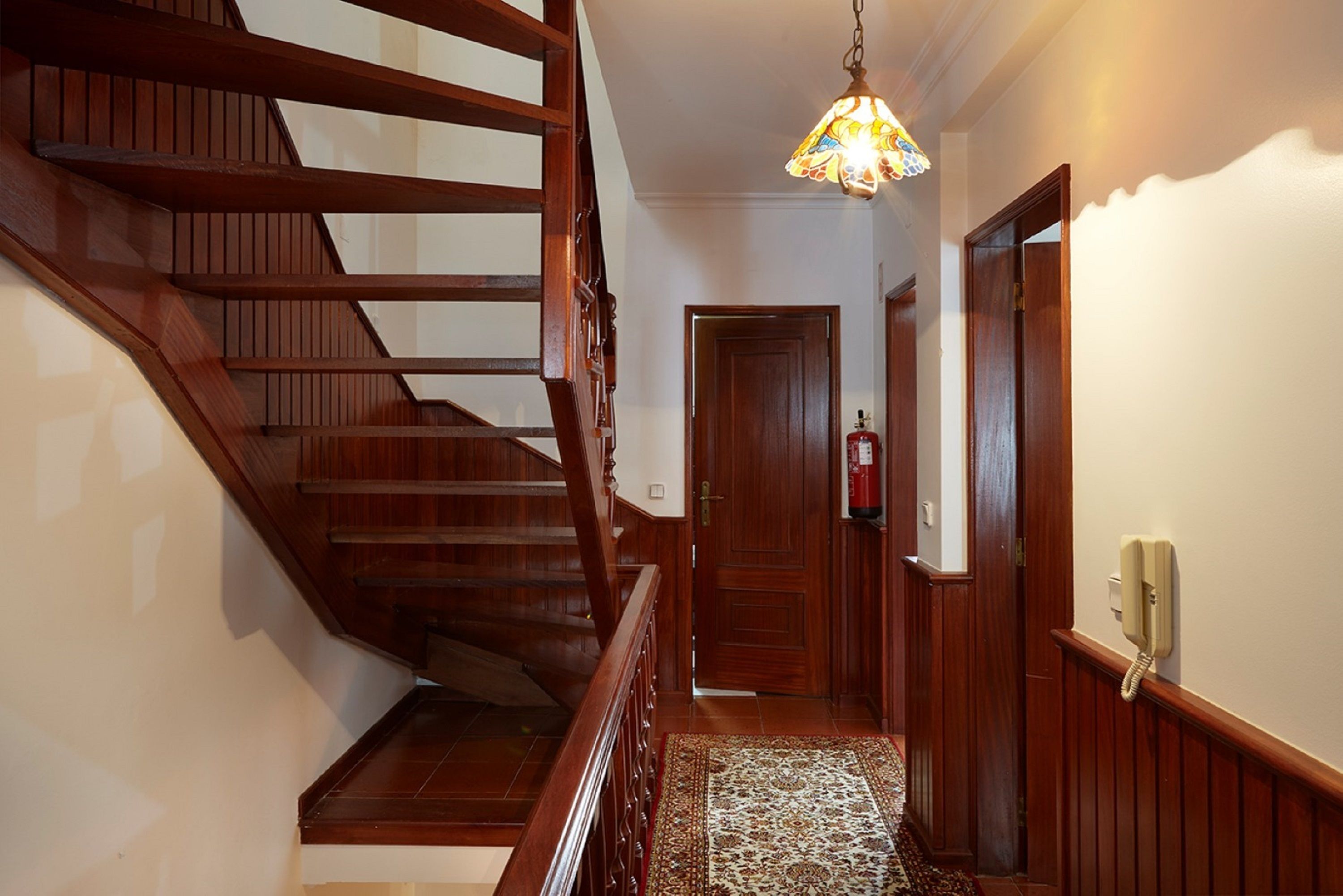 A wooden staircase with a patterned rug leading to a door with a fire extinguisher.