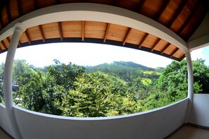 Vista des de l'allotjament