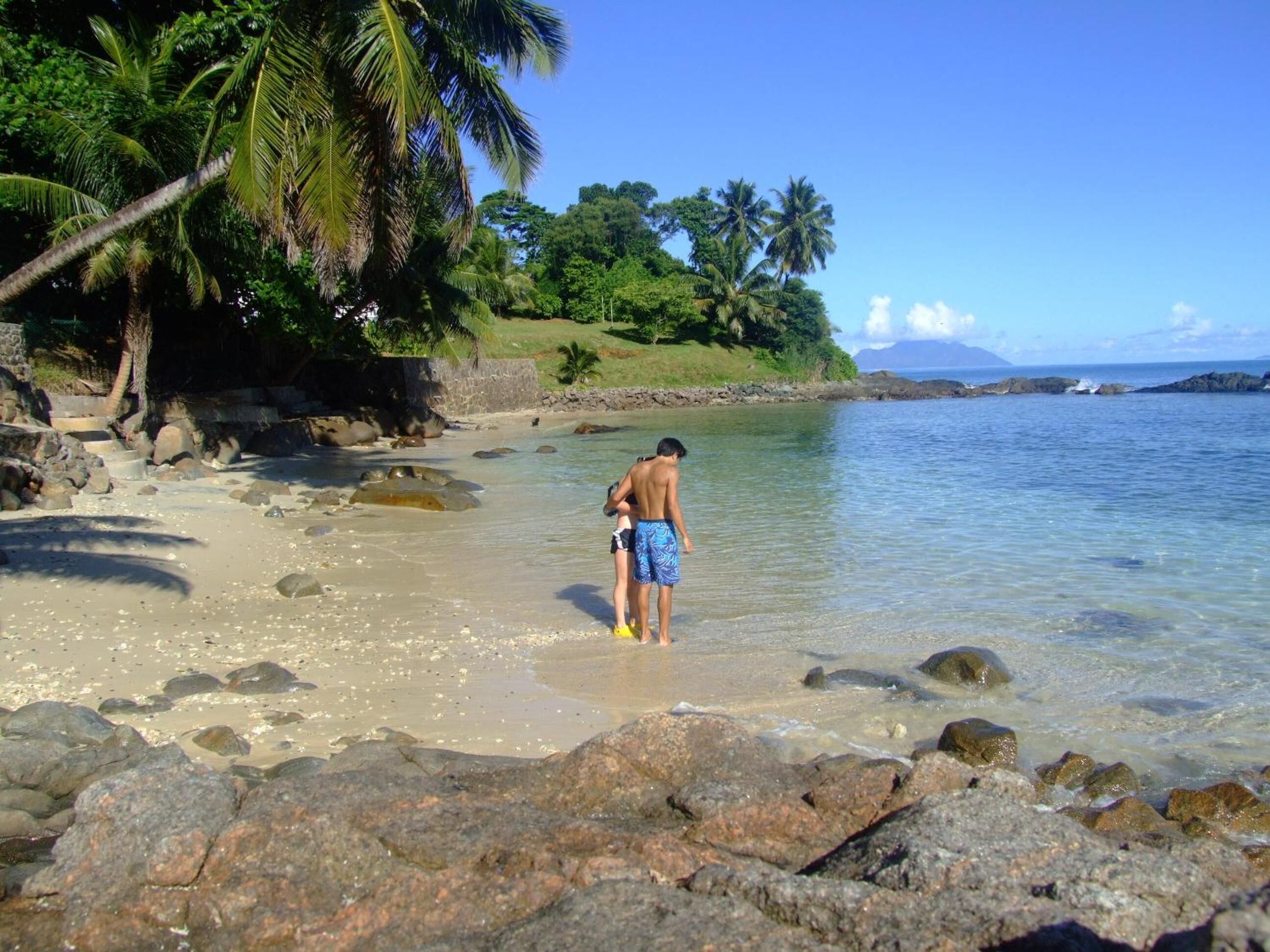 A beach with clear water, rocks, and palm trees.