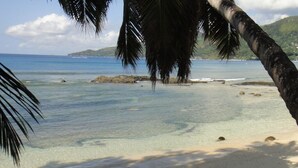Una playa con aguas cristalinas, una orilla arenosa y palmeras.