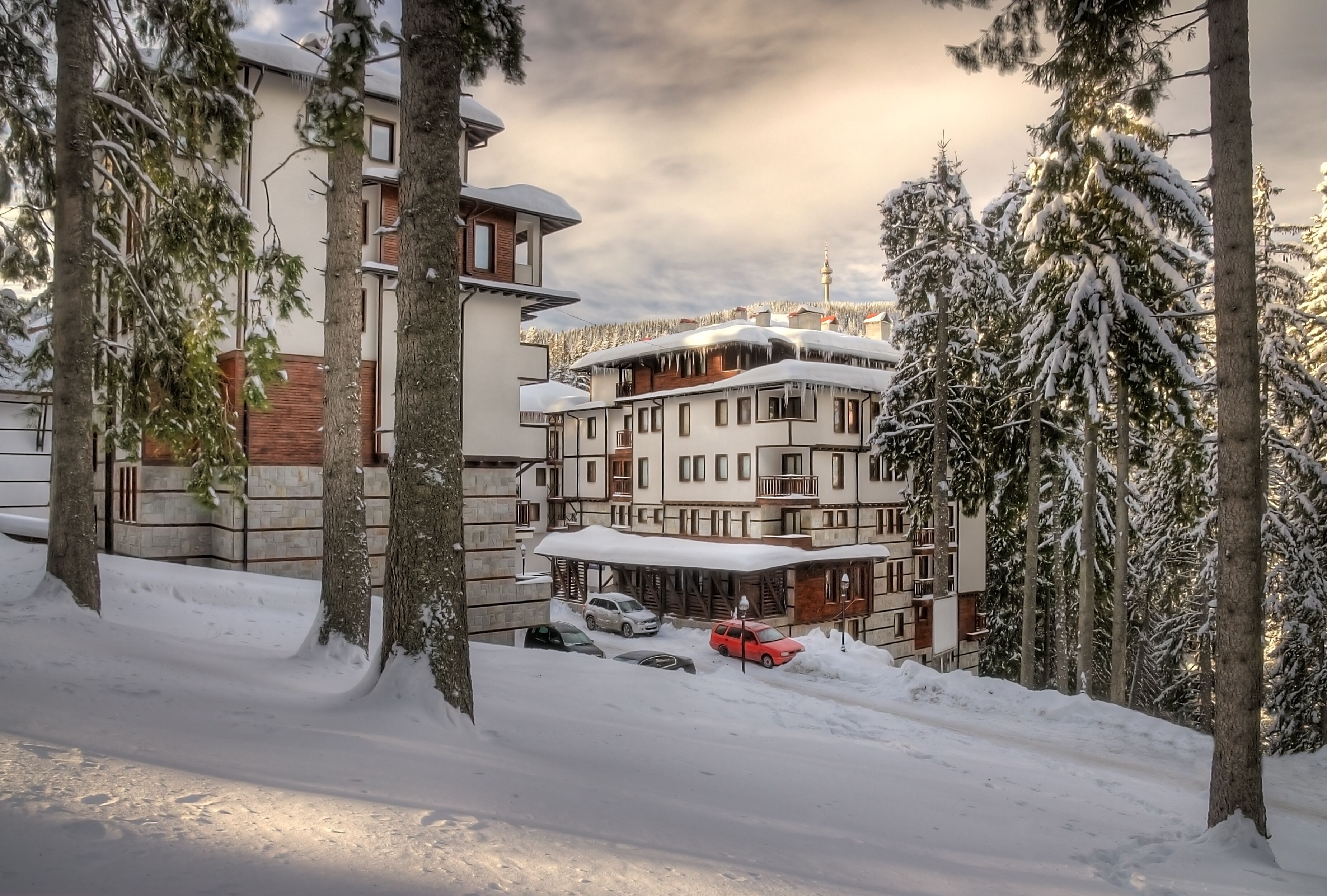 A multi-story building with a snow-covered roof, surrounded by tall trees and parked cars.