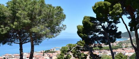 Un pueblo costero con prominentes pinos y vista al mar.