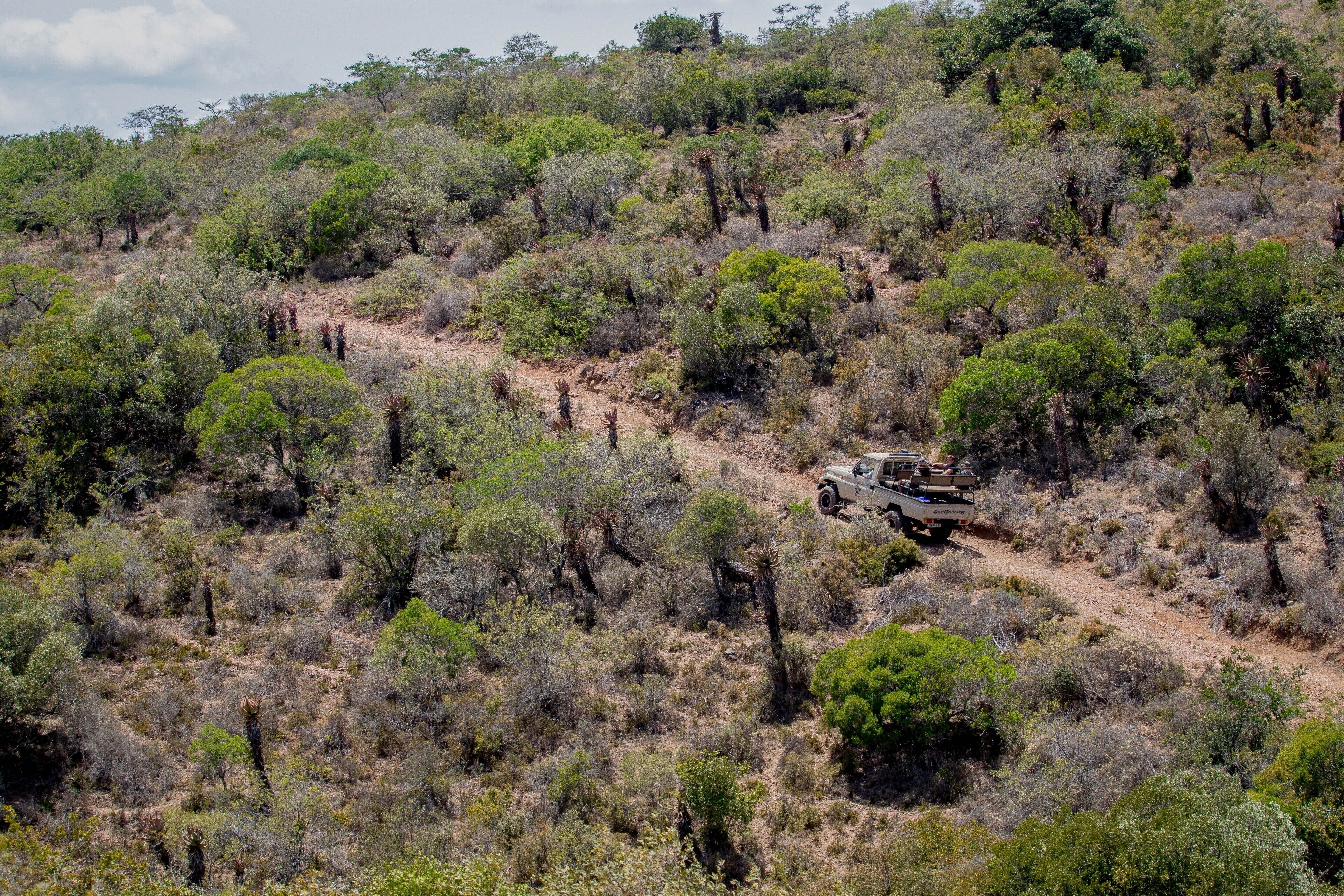A jeep navigating a rugged, hilly terrain with sparse vegetation and scattered trees.