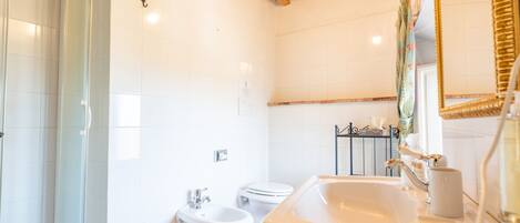 A bathroom with a glass shower enclosure, a sink with a mirror, a bidet, and a toilet.