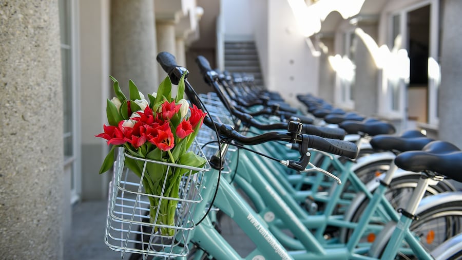 阿姆布罗吉客房酒店