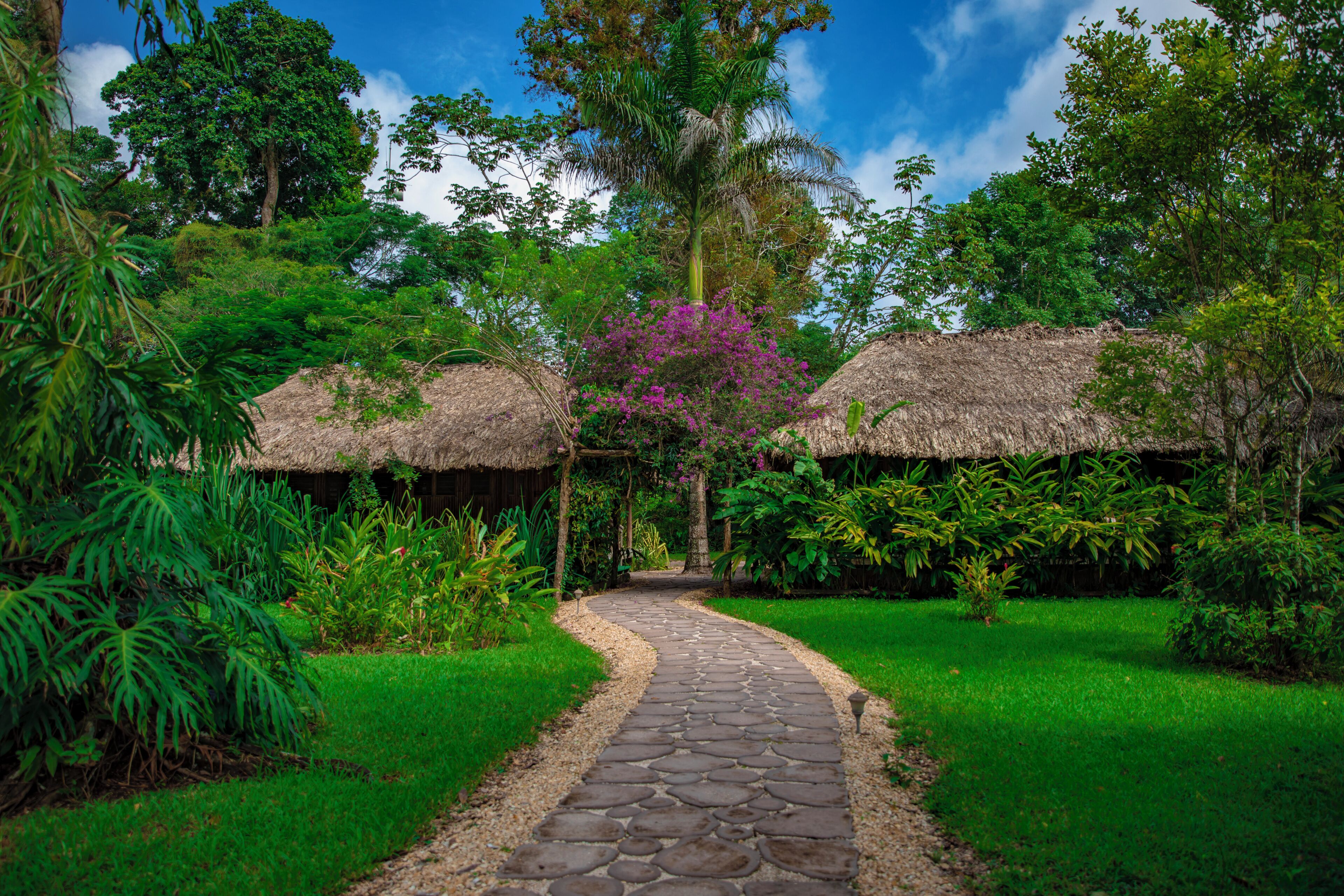 家庭房, 多张床 (Pool Casitas) | 高档床上用品、迷你吧、客房内保险箱、办公桌