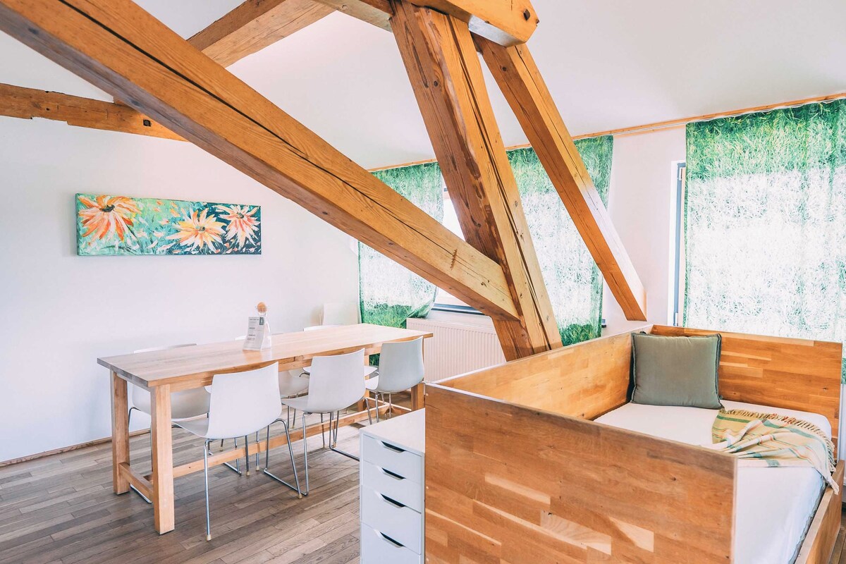 Suite, 2 habitaciones, cocineta, vista a la montaña | Wifi gratis, muebles diferentes y ropa de cama