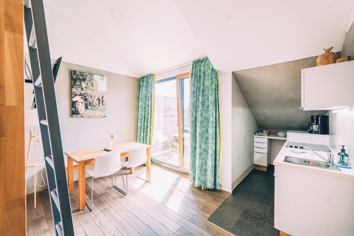 Suite familiar, 1 habitación, cocineta (Loggia) | Wifi gratis, muebles diferentes y ropa de cama