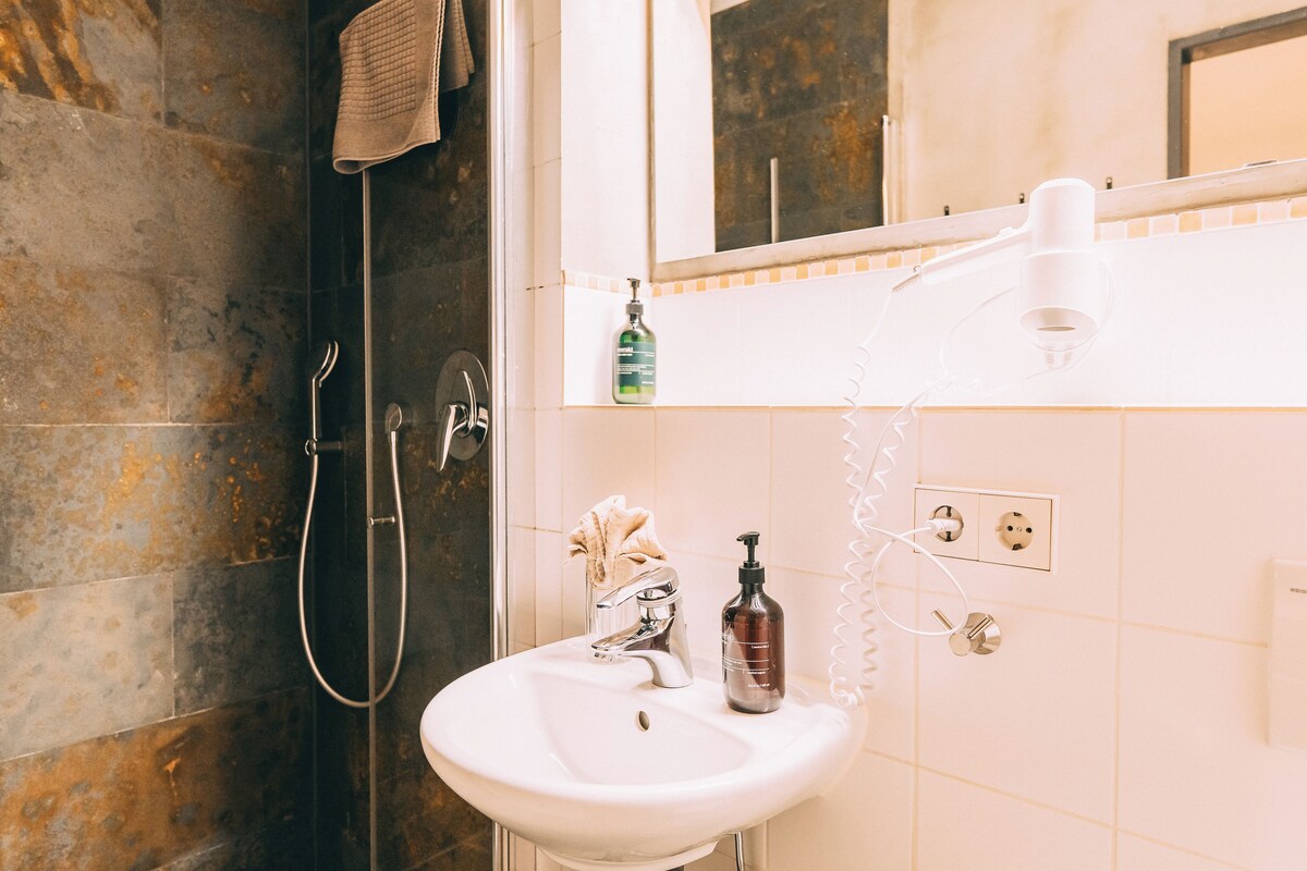 Estudio estándar, cocineta (sofa bed) | Baño | Regadera, regadera tipo lluvia, secadora de cabello, toallas 