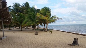 Beach nearby, beach towels, kayaking - Sugar Patch Inn (Hopkins)