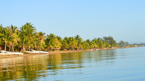 A calm beach with palm trees and boats. - Sugar Patch Inn (Hopkins)