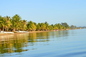 Una playa tranquila con palmeras y barcos.
