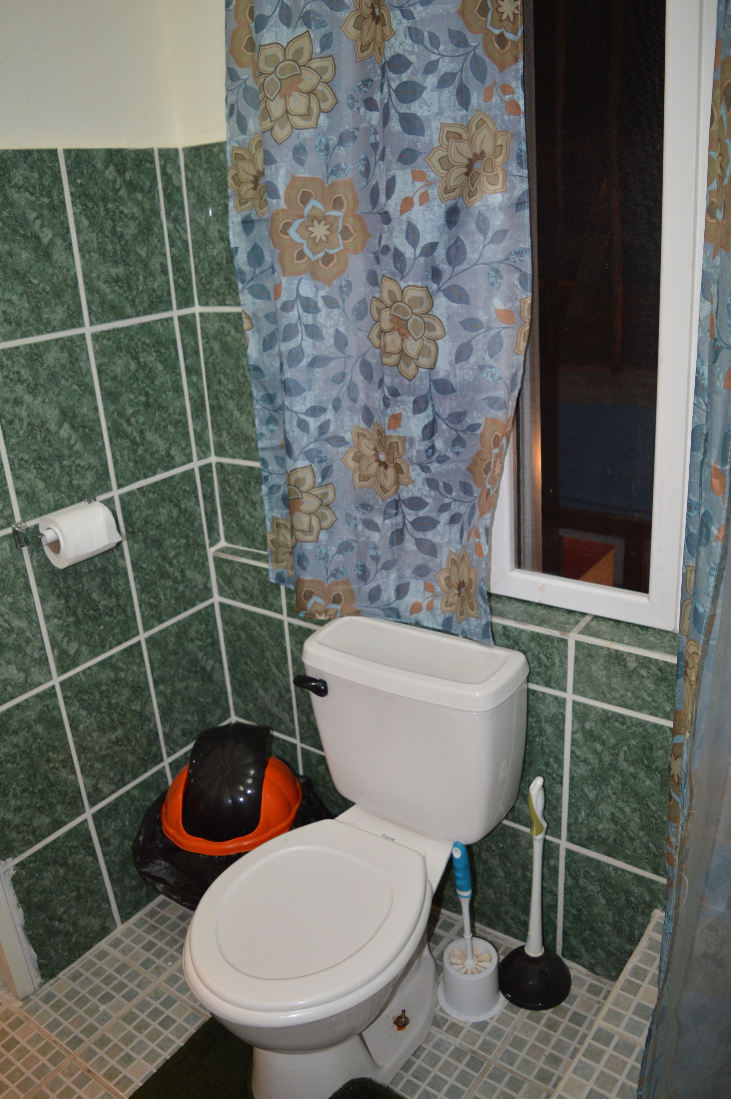 A bathroom with a toilet, a toilet paper holder, a plunger, and a shower curtain.