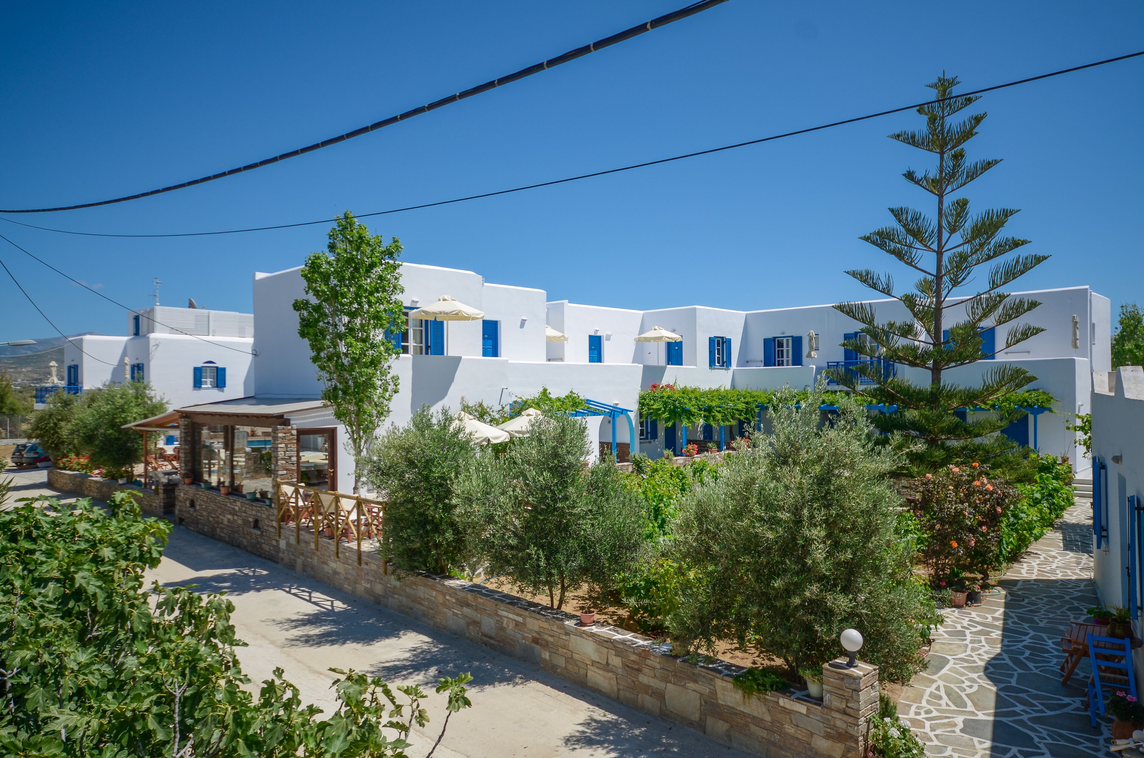 A white building with blue accents, a stone pathway, and greenery.