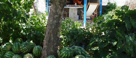 A garden with a tree, a barbecue grill, and a table with chairs.