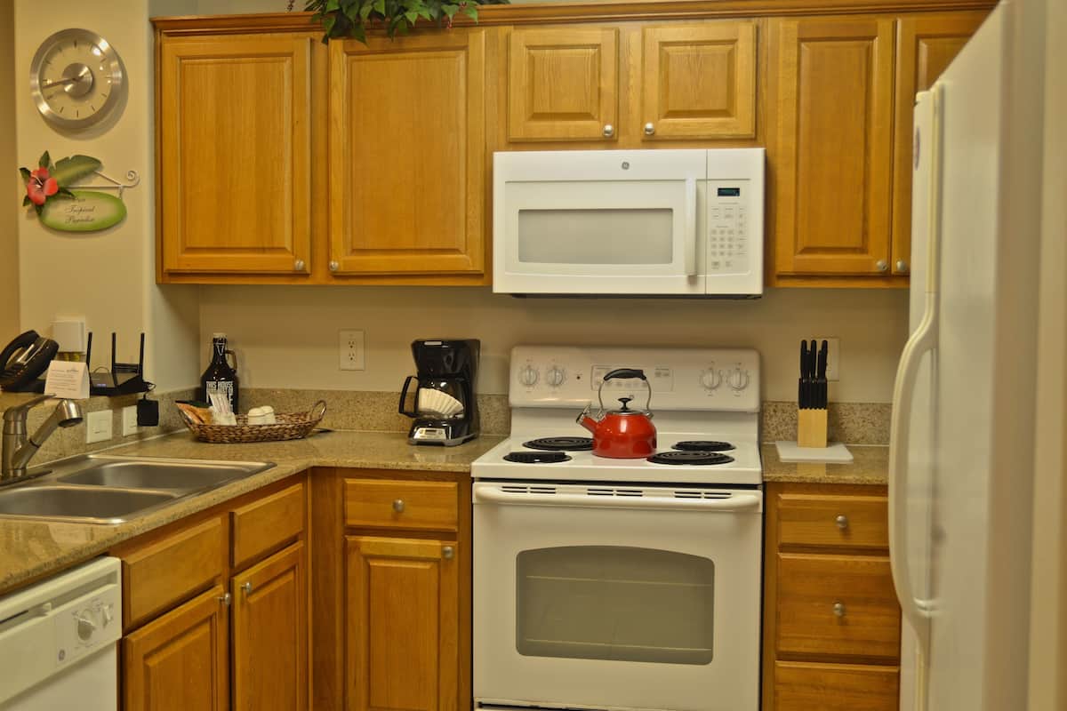 Condo, 1 Bedroom, Lake View | 1 bedroom, premium bedding, individually furnished, iron/ironing board