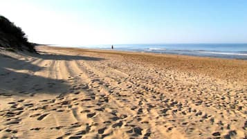 Nära stranden