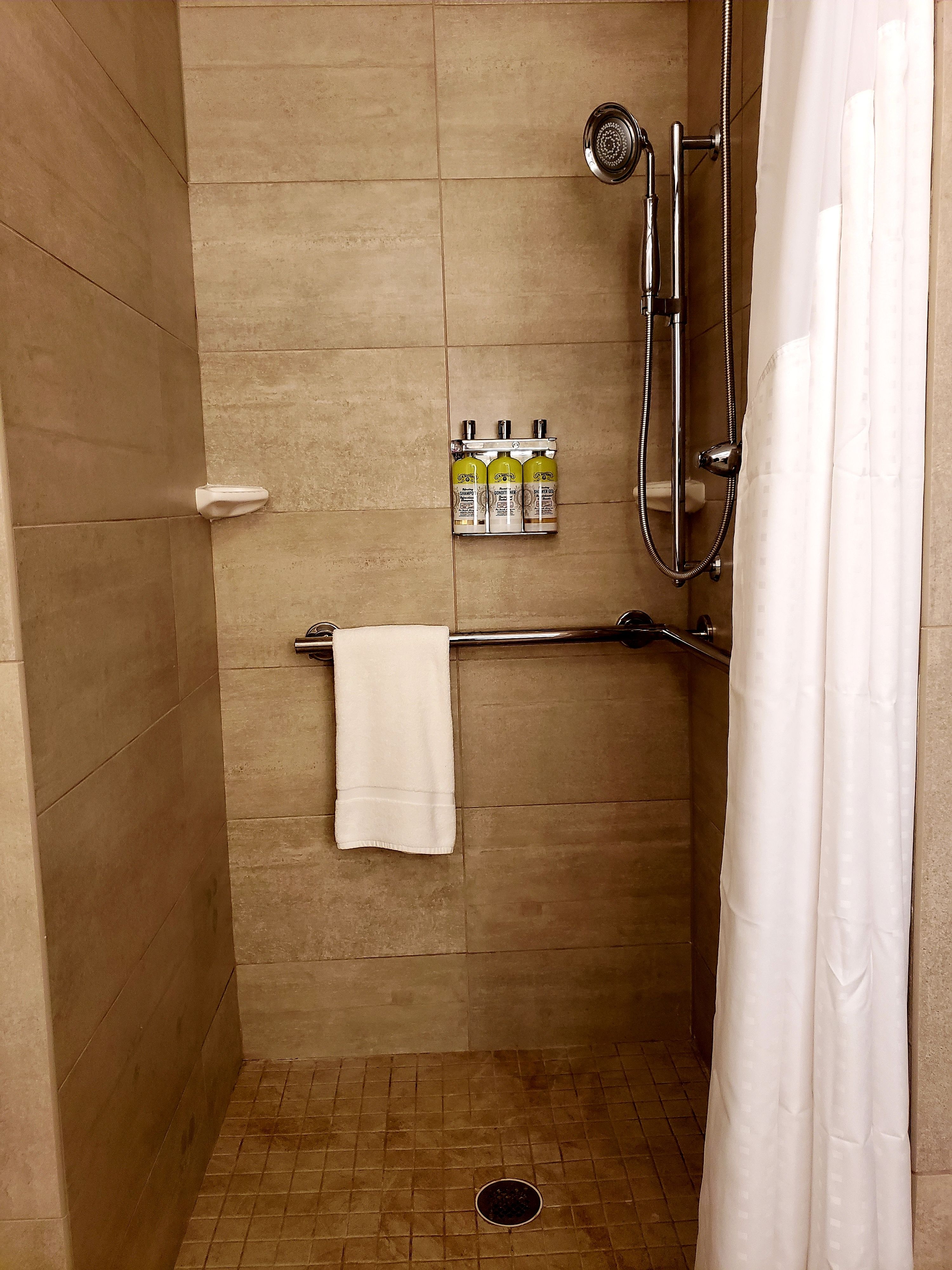 standard room, 1 king bed, accessible (roll-in shower) | bathroom | combined shower/bathtub, free toiletries, hair dryer, towels