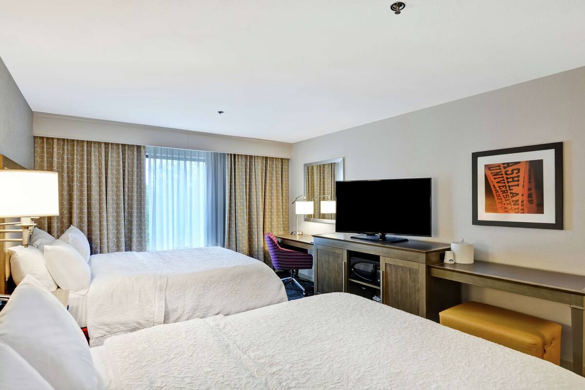 A hotel room with two beds, a desk with a television, a chair, and a framed picture on the wall.